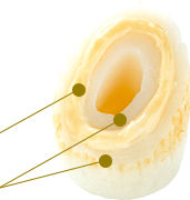White fish surimi and three layers of cheese