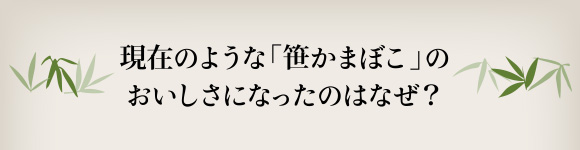 現在のような「笹かまぼこ」のおいしさになったのはなぜ？