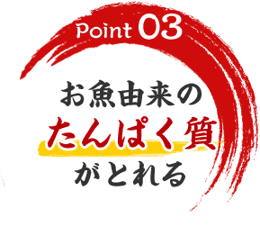 Point03　お魚由来のたんぱく質がとれる