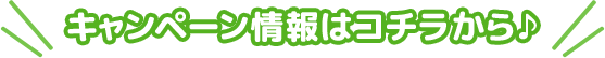 キャンペーン情報はコチラから