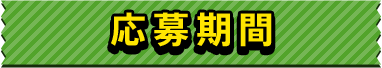 応募期間