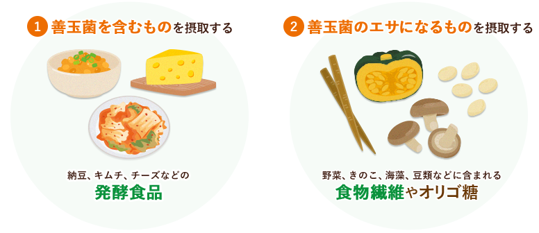 ①善玉菌を含むものを摂取する, ②善玉菌のエサになるものを摂取する 