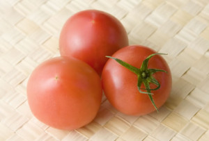 今月の旬の食材   トマト