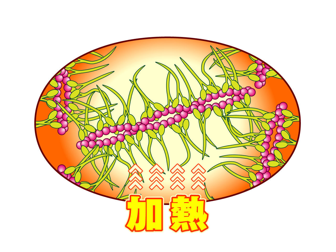 ⑯次に、粘性の出た塩ずり身を加熱します。