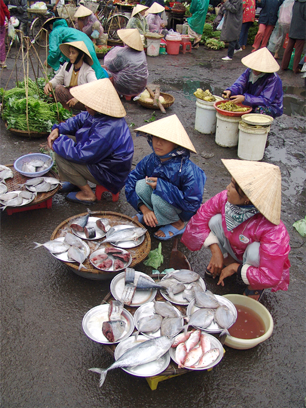 市場でも魚はたくさん売られている　撮影／森枝 卓士