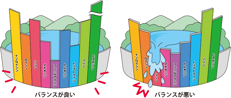 たんぱく質の栄養価