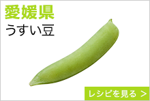 愛媛県　うすい豆