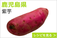 鹿児島県　紫芋 
