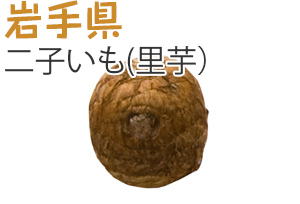 岩手県　二子いも(里芋）
