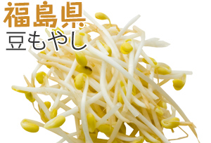 福島県　豆もやし