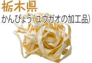 栃木県　かんぴょう