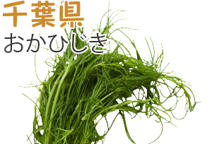 千葉県　おかひじき