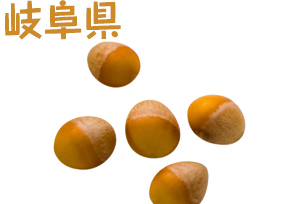 岐阜県　藤九郎銀杏