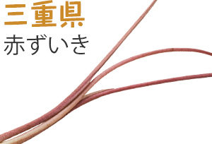 三重県　赤ずいき