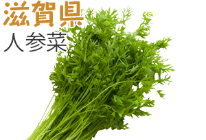 滋賀県　人参菜