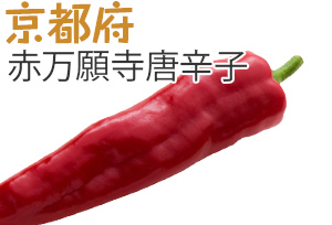 京都府　赤万願寺唐辛子