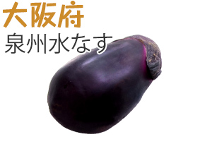 大阪府　泉州水なす