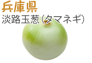 兵庫県　淡路玉葱（タマネギ）