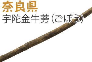 奈良県　宇陀金牛蒡（うだきんごぼう）