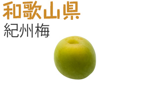 和歌山県　紀州梅