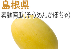 島根県　素麺南瓜（そうめんかぼちゃ）