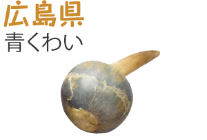 広島県　青くわい