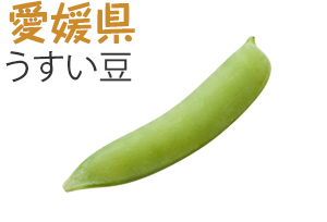 愛媛県　うすい豆