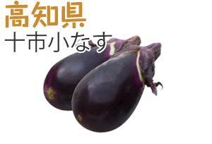 高知県　十市小なす