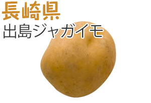 長崎県　出島ジャガイモ