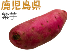 鹿児島県　紫芋 