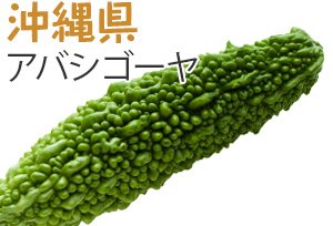 沖縄県　アバシゴーヤ