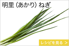 明里（あかり）ねぎ　福井県